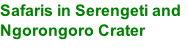 Safaris in Serengeti and Ngorongoro Crater