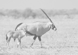 Botswana